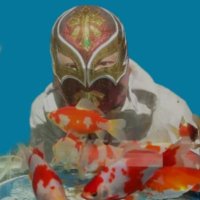ベランダ金魚野郎。 (@kingyo_860) 's Twitter Profile Photo