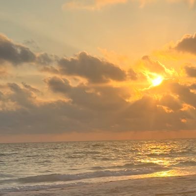 park3rjones2's profile picture. 🉑