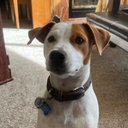 Dylan Jackman - @DylanJackman9 - Twitter