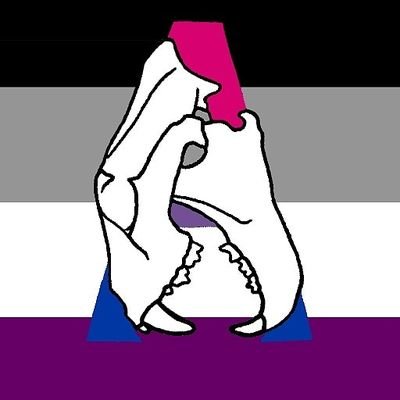 Arrasさんのプロフィール画像