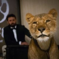 Mr.Yahya Elwerfally 🦁. (@mr_elwerfally) 's Twitter Profile Photo