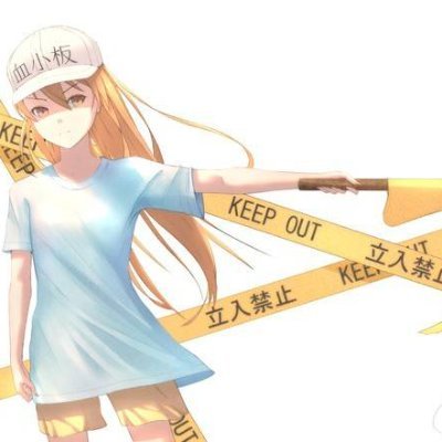 shidarrrrre's profile picture. 実況者さん大好きです