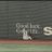 Trout_amz
