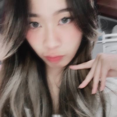 picodechoさんのプロフィール画像