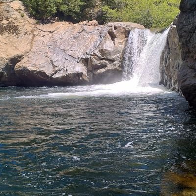 fonua707's profile picture. 