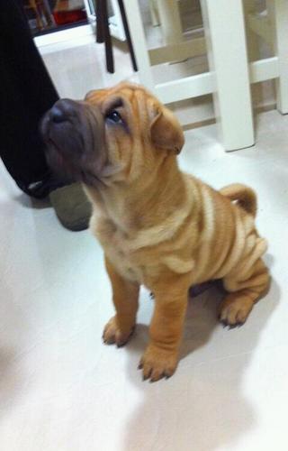 TeReSaGaR82's profile picture. 