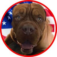 Cockroach (@cockroach687) 's Twitter Profile