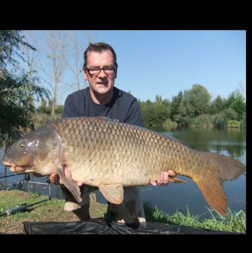 carpybob's profile picture. 