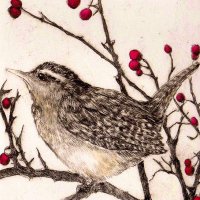 Wren Donovan π (@wrendonovan) 's Twitter Profile