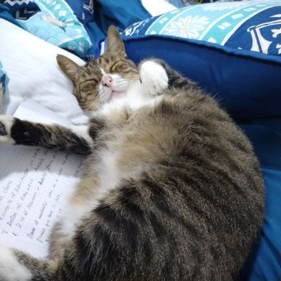 Eduanys's profile picture. 