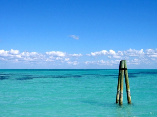 cahshwuehdhwieh's profile picture. 