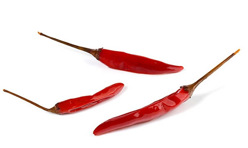 The_Chilihouse's profile picture. 