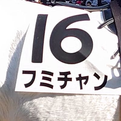 ヤマノススメとかラブライブとかガルパンとか
アミューズ、アミュボch、Apollo Bayが好き