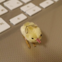 kao._.🐥（VRC:FragmentofTime） (@kao_twit) Twitter profile photo