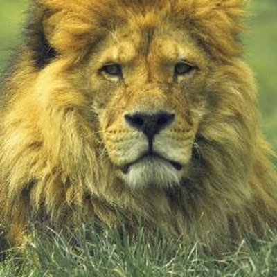 techfast9's profile picture. 