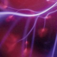 Accelerating translational research and discoveries to model novel targeted therapies that benefit humanity.