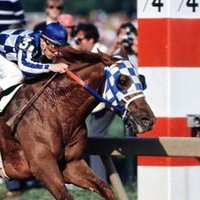 decastro_horse (@decastro_bookie) 's Twitter Profile