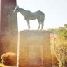 gogoz55z's profile picture. アニメまんがゲームドラマサッカー競馬舞台(ミュー寄り)等でブツブツ言ってるだけのアカウント。ネタバレこぼしている可能性有。フォロー・リムーブ・ブロックいずれもご随意に。こちらも随意にしてます。ご挨拶も不要です。