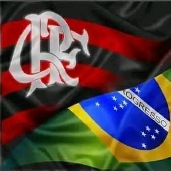 joilson35250389's profile picture. Tem um Brasil melhor