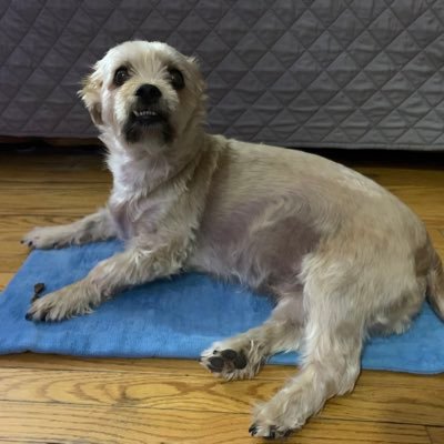 b_c_m_123's profile picture. Romans 12:19   Beloved, never avenge yourselves, but leave it to the wrath of God, for it is written, "Vengeance is mine, I will repay, says the Lord."