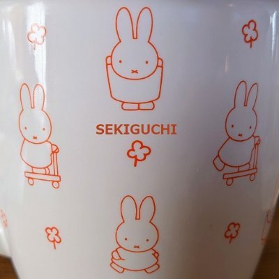 solidnc_sk_mk2@関口（公＝キミ＝本名）：プロフ固定ツイ読んでさんのプロフィール画像