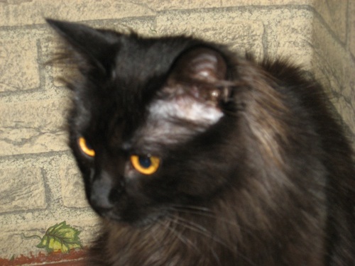 art_1982's profile picture. 