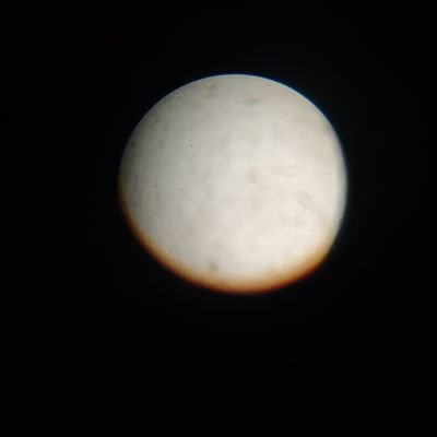 IzraelRobert's profile picture. Nem vagyok egyedül