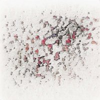 437444.bnb(💙,🧡) (@juliawe16594825) 's Twitter Profile