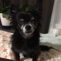 山下郁子 (@rd210vswoiek8rf) 's Twitter Profile