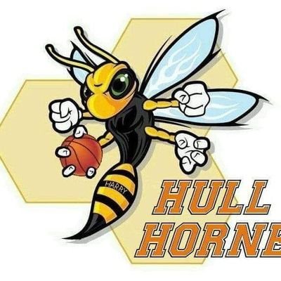 Hull Hornets