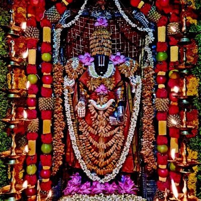 MSrideviOficial's profile picture. 