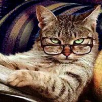 RMHA (@rmha2023) 's Twitter Profile