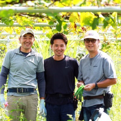 自然栽培のぶどうを育て、酸化防止剤も酵母も添加せず、無濾過非加熱のナチュラルワインを作っています。山形県東根市