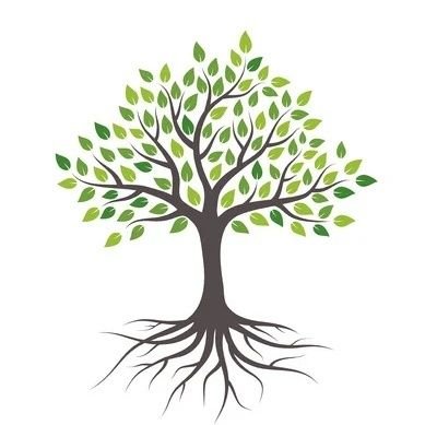 alex_says__'s profile picture. Onafhankelijk & betrokken. Soms scherp | beschouwend | met vleugje ironie.♥️equality of opportunity. Niet van groepsidentiteitsdenken. Christelijke wortels✝️