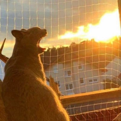 TRABAJAR EN MI DESARROLLO PERSONAL PARA INTENTAR SER LO MÁS LÚCIDO Y ECUÁNIME POSIBLE
