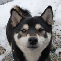 ジン クン (@20181225zin) 's Twitter Profile Photo