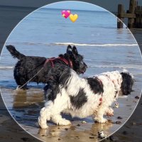 Mags 🤪 and Angel Menfol 🌈 & 2p too(@magsandmenfol) 's Twitter Profile Photo