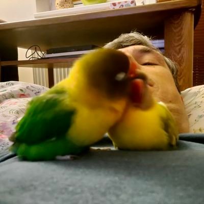 nacelnik01's profile picture. @nacelnik01@mastodonczech.cz