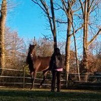 sweethairdreams (@sweethairdream1) Twitter profile photo