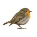 Robin Research SME (@entrematorrales) Twitter profile photo Robin Research SME (@entrematorrales) Twitter profile photo