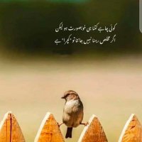 جنید راجپوت (@_ranajunaid) 's Twitter Profile