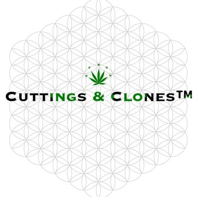 Cuttings&Clones™️🌱
An E-Commerce Platform for ALL Plants🌱
Join Our Cuttings&Clones™️🌱Community!🪴
Great Support & Opportunities 🌱