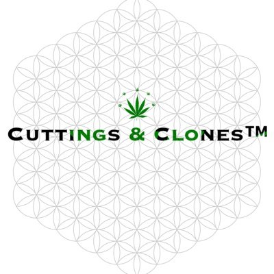 Cuttings&Clones™️🌱 

An E-Commerce Platform for ALL Plants🌱

Join Our Cuttings&Clones™️🌱Community!🪴

Great Support & Opportunities 🌱