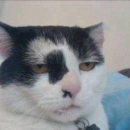 q734141's profile picture. フォローお願いします