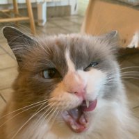 John (@johnjohnld) 's Twitter Profile