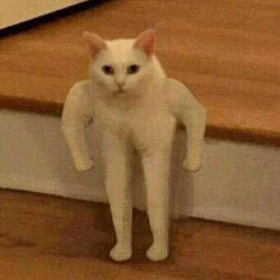 Toasted_Demon's profile picture. occasionally repost nsfw, follow nsfw artists, 20, Miners DNI, Zoo’s MAP’s Pro shippers etc DNI EITHER