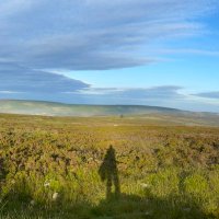 Clare Martin (@clare_bear_24) 's Twitter Profile
