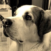 Bea (@bemiber) 's Twitter Profile Photo