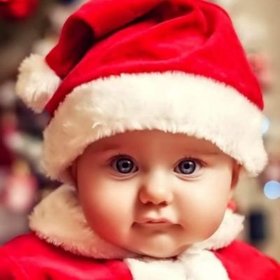 Rosemal61221376's profile picture. 