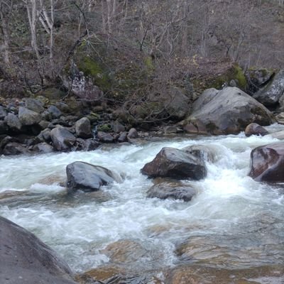 uchataro_0707's profile picture. 